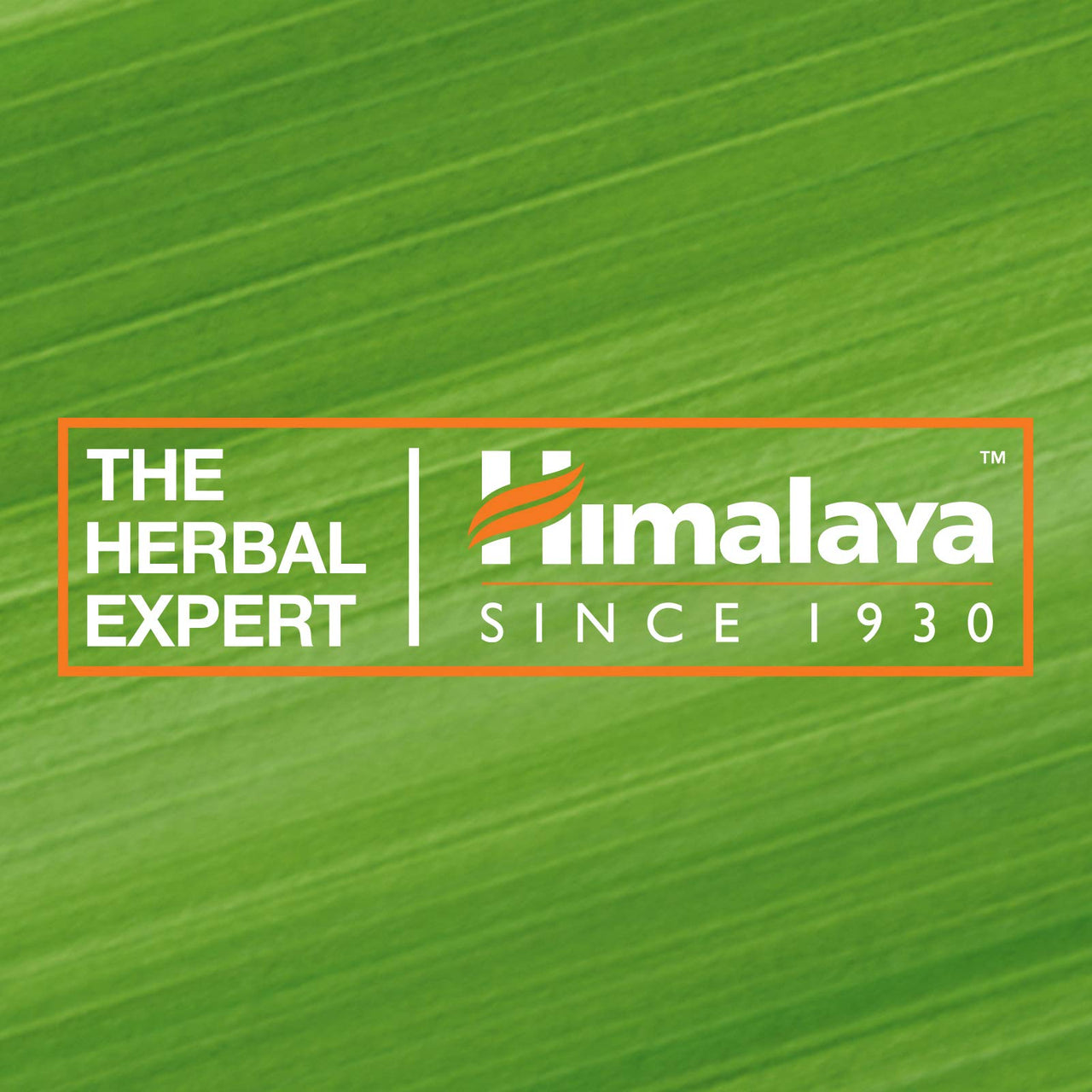 Himalaya Herbals Nourishing Cream and Honey Soap, 75gm