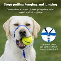 PetSafe Gentle Leader No-Pull Dog Headcollar - The Ultimate Solution to Pulling - Redirects Your Dog's  Pulling For Easier Walks - Helps You Regain Control - X-Large, Black