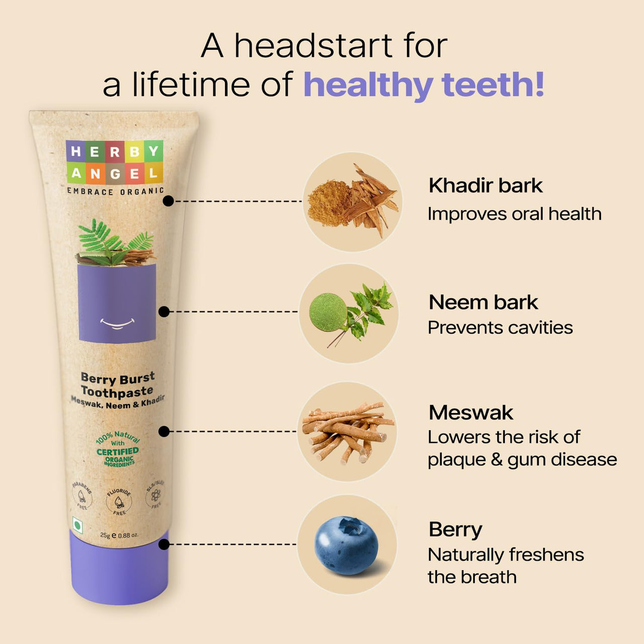 Herby Angel Baby Toothpaste Berry Burst - Herbal Kids Oral Care with Neem, Khadir & Meswak | Promotes Strong Teeth & Healthy Gums | Fluoride Free,Organic & Safe for Toddlers (Pack of 4) (25 GM Each)