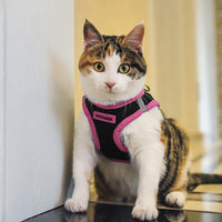 Voyager Step-in Air Dog Harness - All Weather Mesh Step in Vest Harness for Small and Medium Dogs by Best Pet Supplies - Pink Trim, M Harness (Black/Pink Trim) M (Chest: 16 - 18