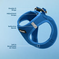 Voyager Step-in Air Dog Harness - All Weather Mesh Step in Vest Harness for Small and Medium Dogs and Cats by Best Pet Supplies - Harness (Royal Blue), L (Chest: 18-20.5