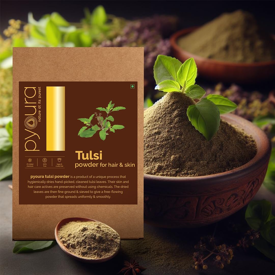PYOURA Pure Tulsi Powder, 100% Natural No Chemicals Added, Hygienically Dried, Face Pack for Youthful Clear Skin | Pack of 2, Each 100 Grams