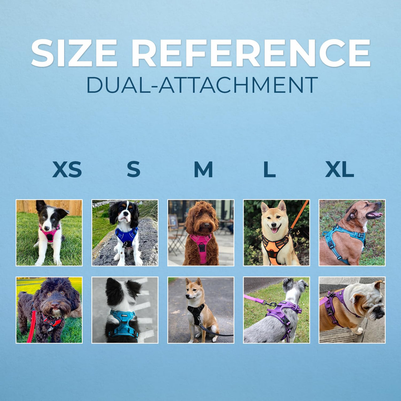 Dog Harness Dual Leash Attachment No-Pull Control Adjustable Soft but Strong Pet Harness for Medium and Large Dogs with 3M Reflective Technology - Lime Green, XL (Chest: 28 - 37") XL (Chest: 28 - 37") Harness (Lime Green Nylon)