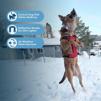 Voyager Dog Harness Dual Leash Attachment No-Pull Control Adjustable Soft but Strong Pet Harness for Medium and Large Dogs with 3M Reflective Technology - Red Lattice, S (Chest: 16 - 20