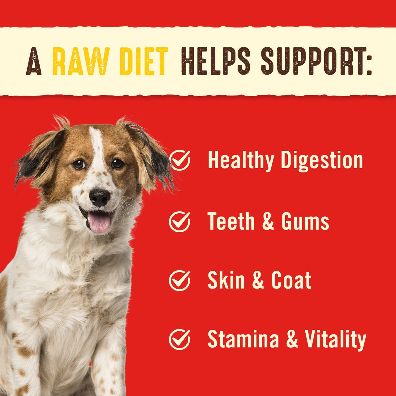 Stella & Chewy's  Freeze Dried Raw Dinner Patties – Grain Free Dog Food, Protein Rich Chewy’s Chicken Recipe – 14 oz Bag 14 Ounce (Pack of 1)