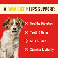 Stella & Chewy's  Freeze Dried Raw Dinner Patties – Grain Free Dog Food, Protein Rich Chewy’s Chicken Recipe – 14 oz Bag 14 Ounce (Pack of 1)