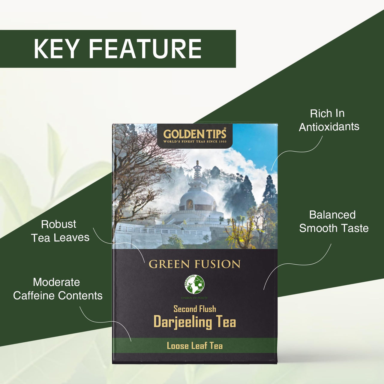 Golden Tips Green Fusion Loose Leaf Fine Green Tea (250gm-125 Cups)