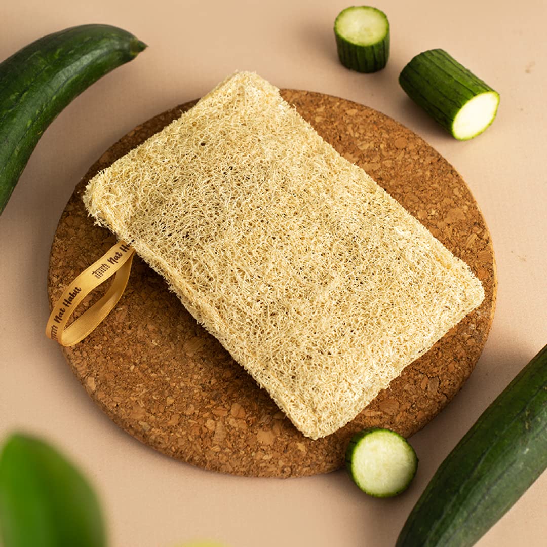 Nat Habit - Back To Natural Secrets Everyday Nat Habit Natural Sun Dried Bath Loofah | Body Sponge & Scrubber for Men & Women | Organic Luffa for Bath Shower Skin Exfoliation (Pack of 2)