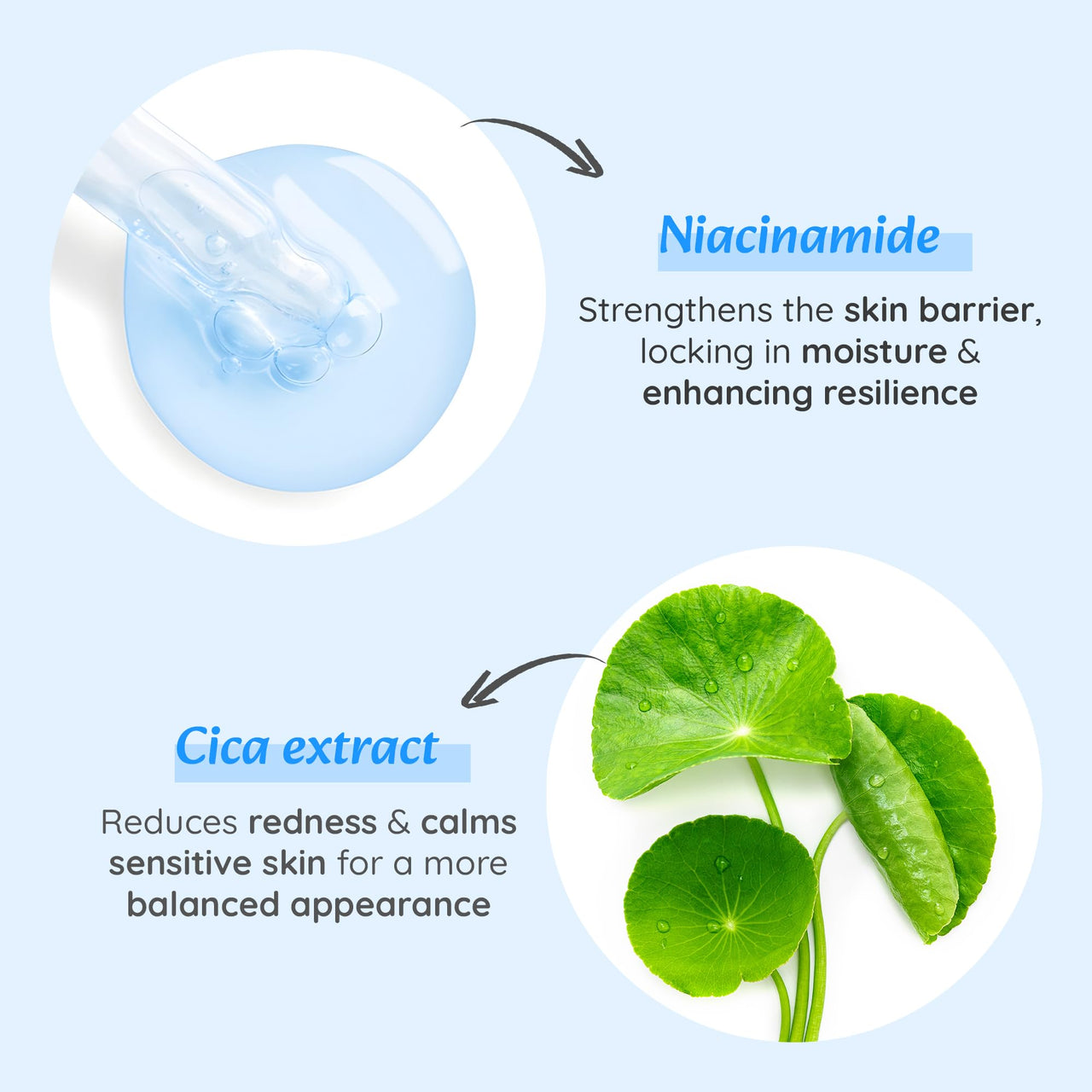 WildOak 2% Alpha Arbutin + 10% Niacinamide Face Serum | Alpha Arbutin is powerful for Pigmentation, Acne Scars & Spot | Niacinamide - Minimises Pores, Hydrates & Reduce Wrinkles & fine lines | 30ml