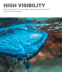 Outward Hound Dawson Swim Blue Dog Life Jacket, XS Dawson (Warmth) X-Small (Chest Girth: 11