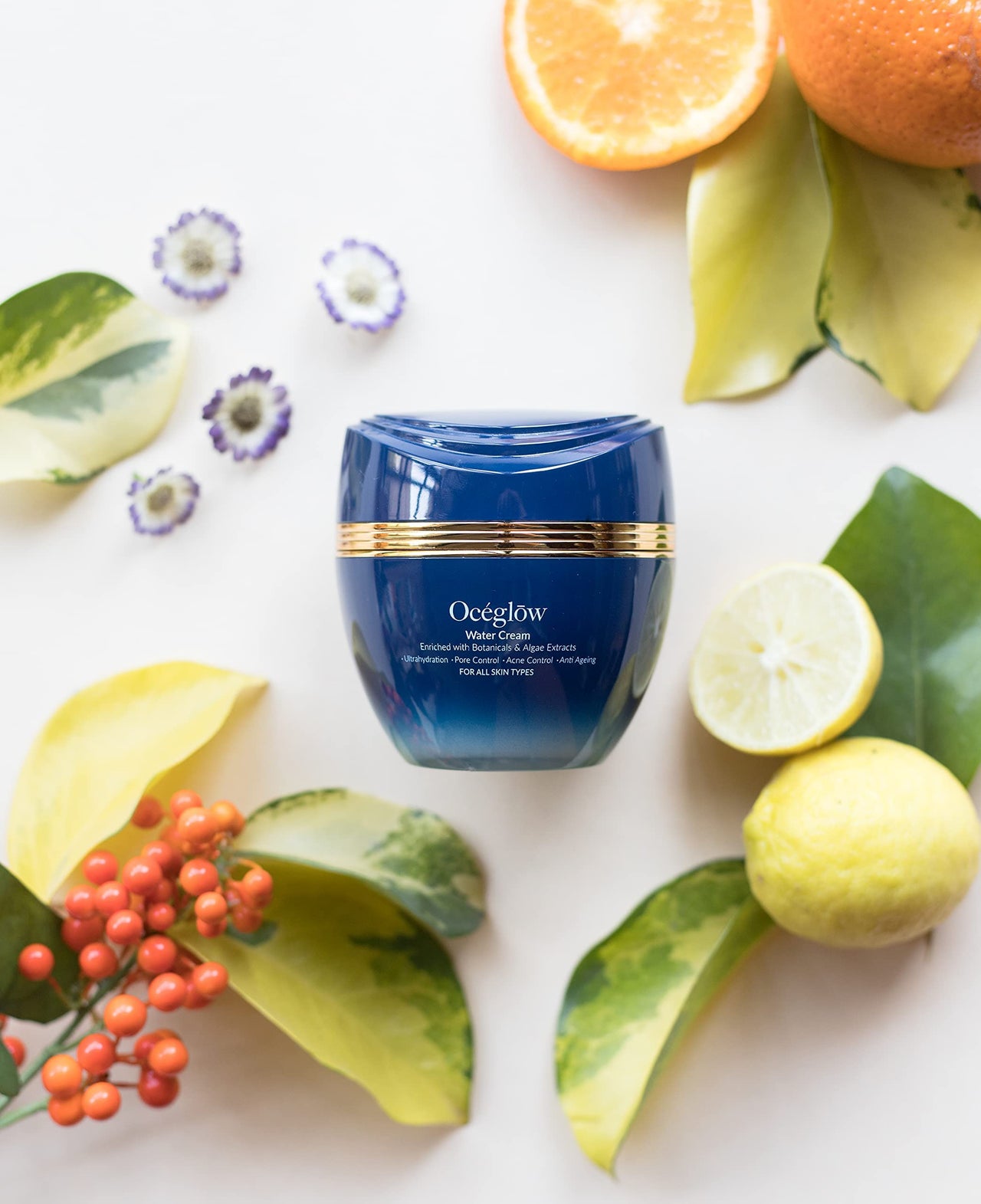 Oceglow Anti Ageing Water Cream For Women With Algae Extract & Tea Tree | Hydrating Face Cream For Women & Men | Reduces 5 Signs of Aging, Wrinkles & Fine Lines - 50Ml