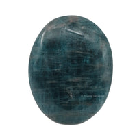 Green Apatite Palm Stone - Pocket Massage Worry Stone for Natural Body Chakra Balancing, Reiki Healing and Crystal Grid Green Apatite