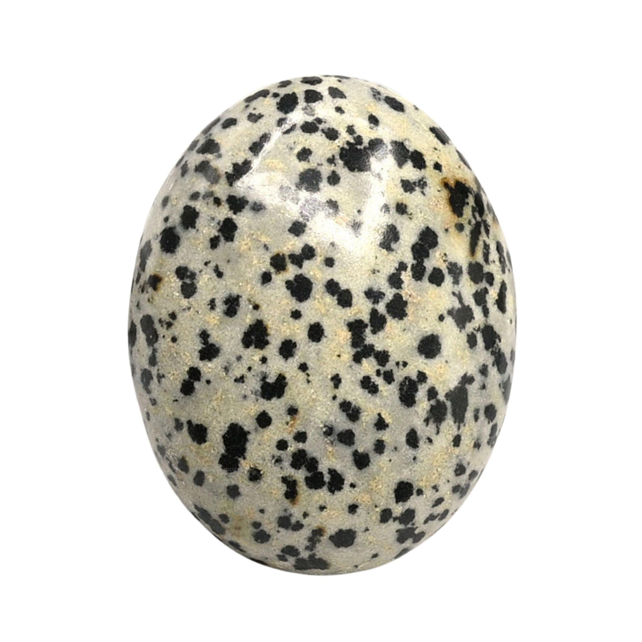 Dalmatian Jasper Palm Stone - Hot Massage Worry Stone for Natural Body Chakra Balancing, Reiki Healing and Crystal Grid Dalmatian Jasper