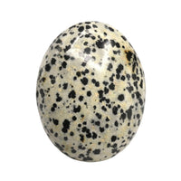 Dalmatian Jasper Palm Stone - Hot Massage Worry Stone for Natural Body Chakra Balancing, Reiki Healing and Crystal Grid Dalmatian Jasper