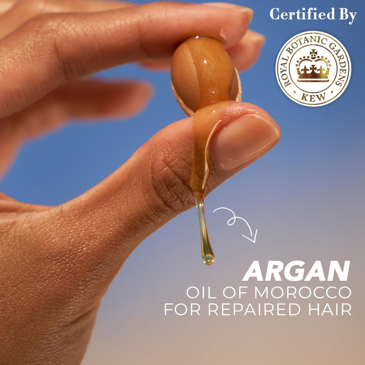 Herbal Essences bio:renew Argan Oil of Morocco SHAMPOO, 400ml, No Parabens No Colourants and Herbal Essences, Argan Oil Hair Mask, 237ml, For Dry, Damaged,Frizzy Hair |Hair Mask for Men & Women