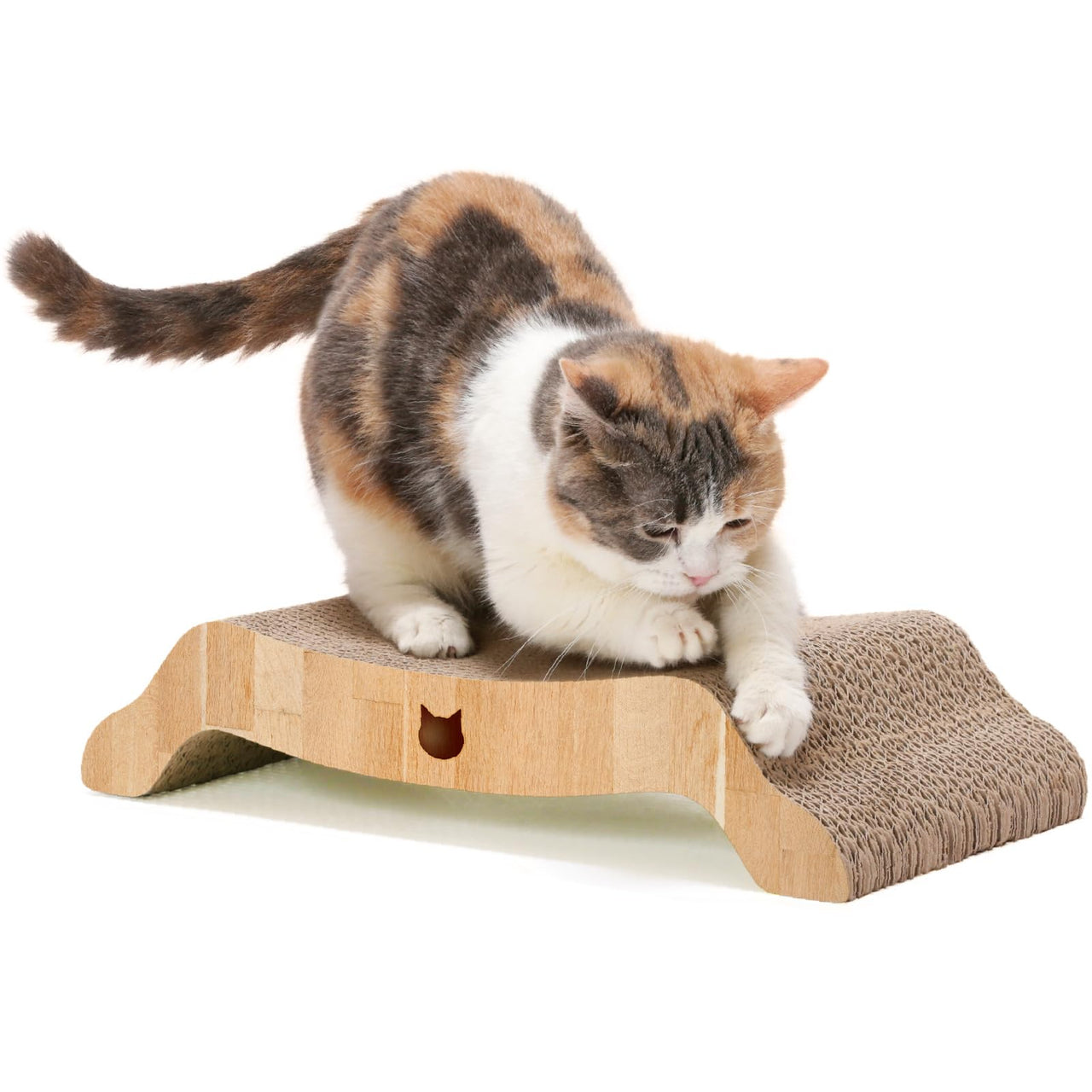 Necoichi Premium Comfort Series Cat Scratcher Curved Lounger and Scratcher Bed (c.Oak Bed, Regular) c.Oak Bed