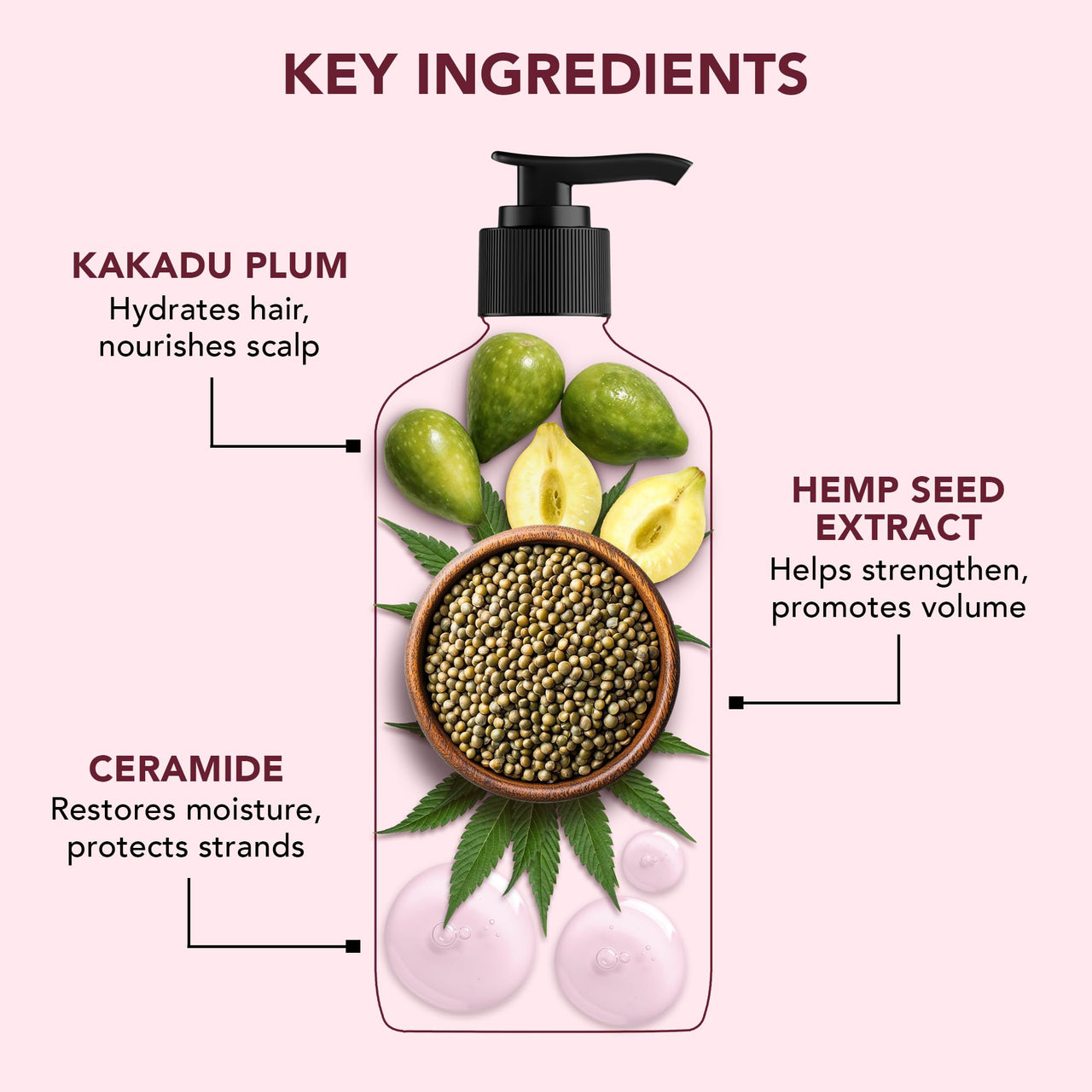 Botanic Hearth Defrizz & Hydrate Shampoo with Ceramides & Hemp Seed Oil | Intense Hydration & Frizz Control | Locks in Moisture & Boosts Shine |Formula | Sulfate & Paraben Free,