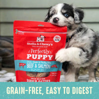 Stella & Chewy's  Freeze Dried Raw Dinner Patties – Crafted for Puppies – Grain Free, Protein Rich Perfectly Puppy Beef & Salmon Recipe – 5.5 oz Bag, Pack of 1 5.5 Ounce (Pack of 1)