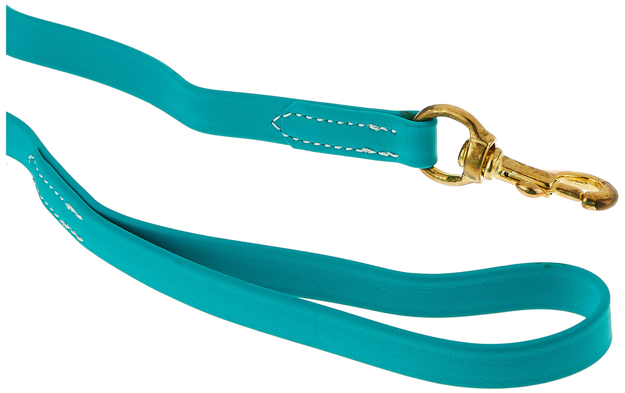 J&J Dog Supplies Biothane Dog Leash, 3/4" Wide by 6' Long, Teal