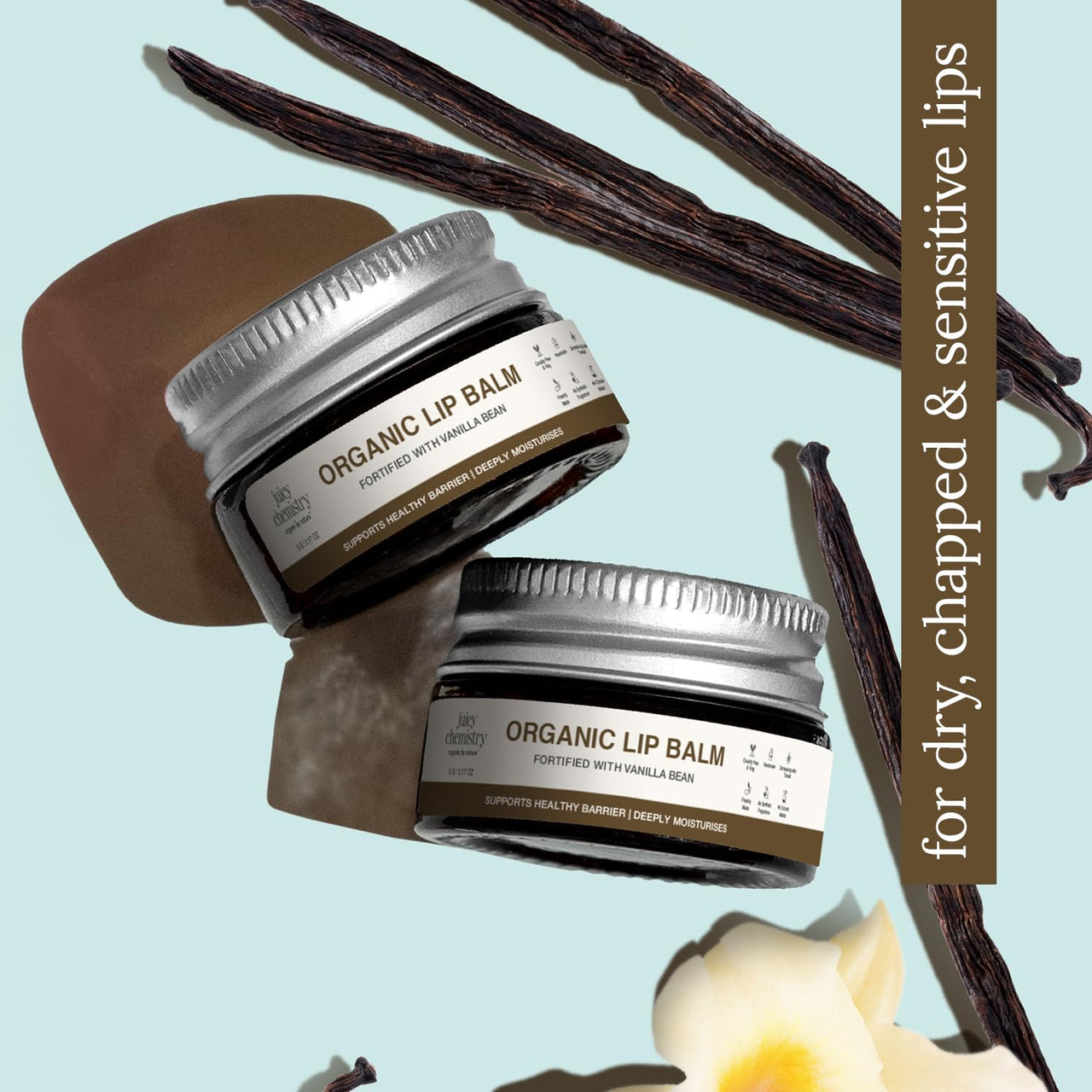 Juicy Chemistry Vanilla Bean Organic Lip Balm, 5 g | Enriched with Delicate, Dreamy, Vanilla Beans, Cocoa Butter, Jojoba & Argan Oil to Smooth and Soften Dry, Chapped & Sensitive Lips