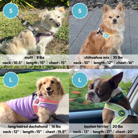 Gooby Simple Step in III Harness - Pink, Small - Small Dog Harness with Scratch Resistant Outer Vest - Soft Inner Mesh Harness for Small, Medium Dogs Small chest (14.25∼17
