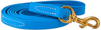 J&J Dog Supplies Biothane Dog Leash, 3/4