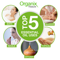 Organix Treasure Basil Essential Oil Pure, Natural & Undiluted Therapeutic Grade for Perfect For Cough, Colds, Clear Breathing, Pain, Mosquito Repellent, Aromatherapy, Relaxation, 15ML