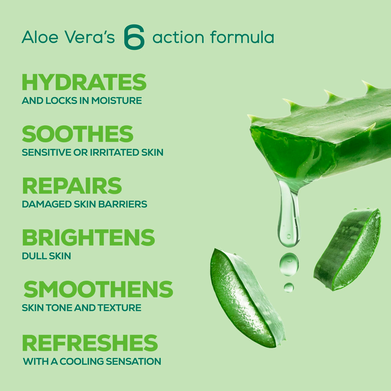 Joy Pure Aloe Light Moisturizing Body Lotion 500ml | 48Hr Moisture for Men & Women | Soothes, Hydrates & Freshens Dry Skin | Ideal for Summer | Lightweight, NonSticky & Non-Greasy | For All Skin Types