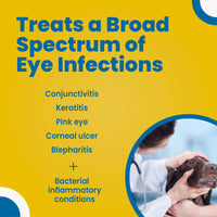 Terramycin Antibiotic Ointment for Eye Infection Treatment in Dogs, Cats, Cattle, Horses, and Sheep, 0.125oz Tube Modern