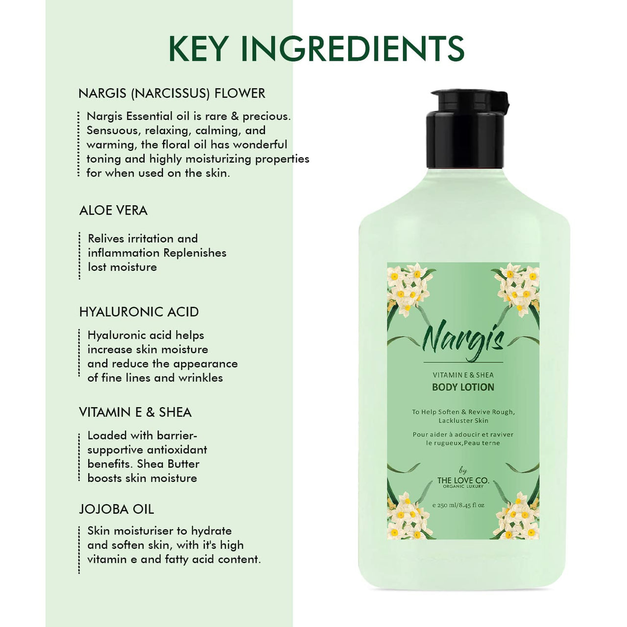 THE LOVE CO. Nargis Body Lotion - Nourishing Formula for Dry Skin - Women & Men - Enhanced with Jojoba Oil, Shea Butter, Vitamin E - 250Ml - Best for Daily Moisturizing