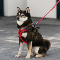 Voyager Dog Harness Dual Leash Attachment No-Pull Control Adjustable Soft But Strong Pet Harness For Medium And Large Dogs With 3M Reflective Technology - Red Lattice, M (Chest: 20 - 25