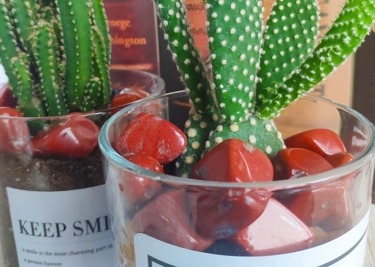 DUQGUHO Red Jasper Healing Crystals Stones Set Natural Tumbled Polished Crystal Stones Bulk Irregular Pebble Stones Fish Tank Rocks 0.45 lbs 06 Red Jasper