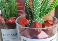 DUQGUHO Red Jasper Healing Crystals Stones Set Natural Tumbled Polished Crystal Stones Bulk Irregular Pebble Stones Fish Tank Rocks 0.45 lbs 06 Red Jasper