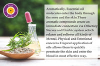 Deve Herbes AURA INCREASE - Aromatherapy Essential Oil Blend of Frankincense, Ylang Ylang, Geranium, Sandalwood & Lavender Essential Oils 10ml