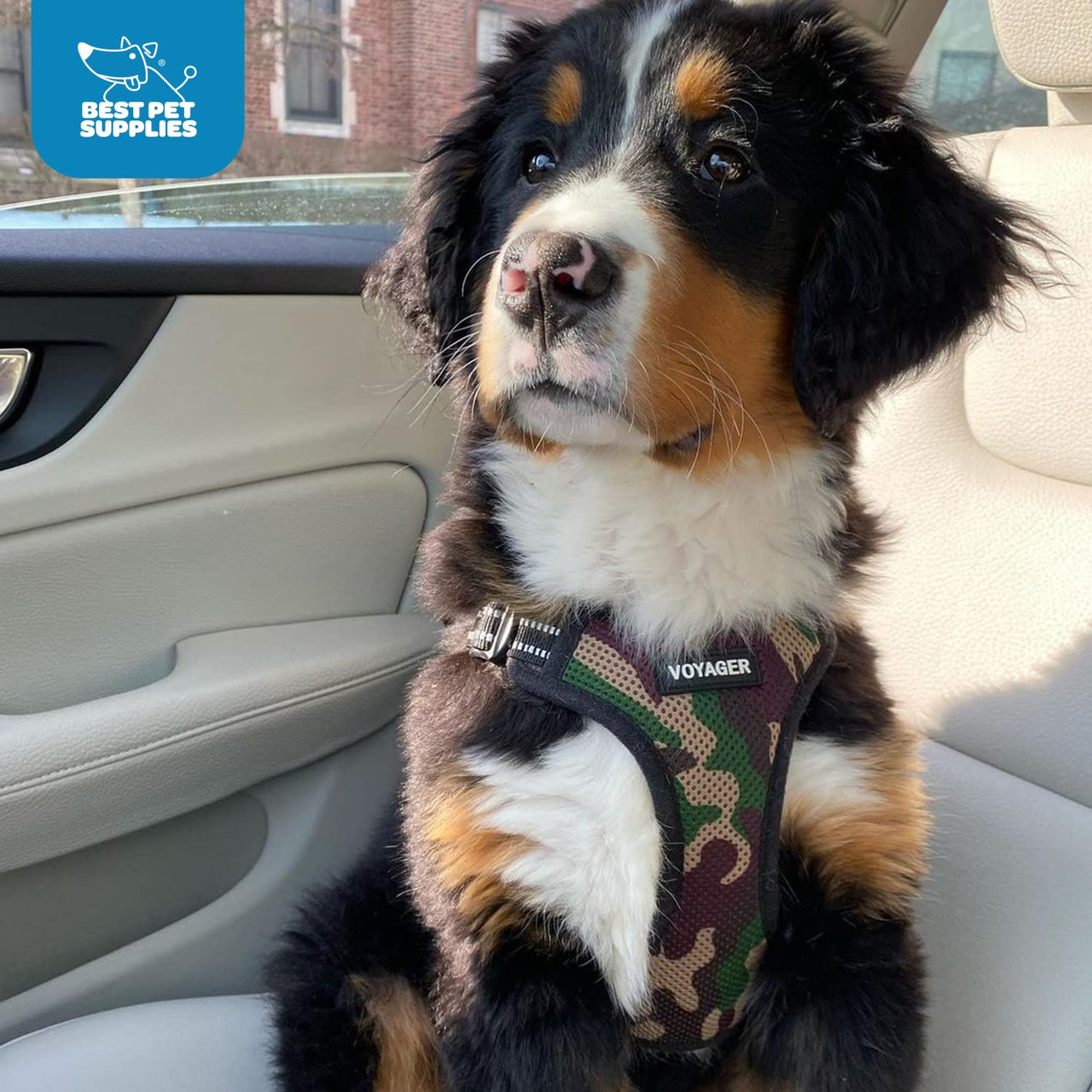 Best Pet Supplies Voyager Adjustable Dog Harness Leash Set with Reflective Stripes for Walking Heavy-Duty Full Body No Pull Vest with Leash D-Ring, Breathable All-Weather - Army/Black Trim, L Harness Leash Set (Army Base) L (Chest: 20 - 25")