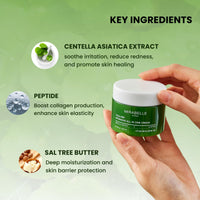 Mirabelle Korea Cica-Pep Intensive All-in-One Cream 100g | Korean Skincare for Acne Treatment & Collagen Boost | Peptides & Sal Tree Butter | Anti-Aging Face Moisturizer for Men & Women | All Skin Types