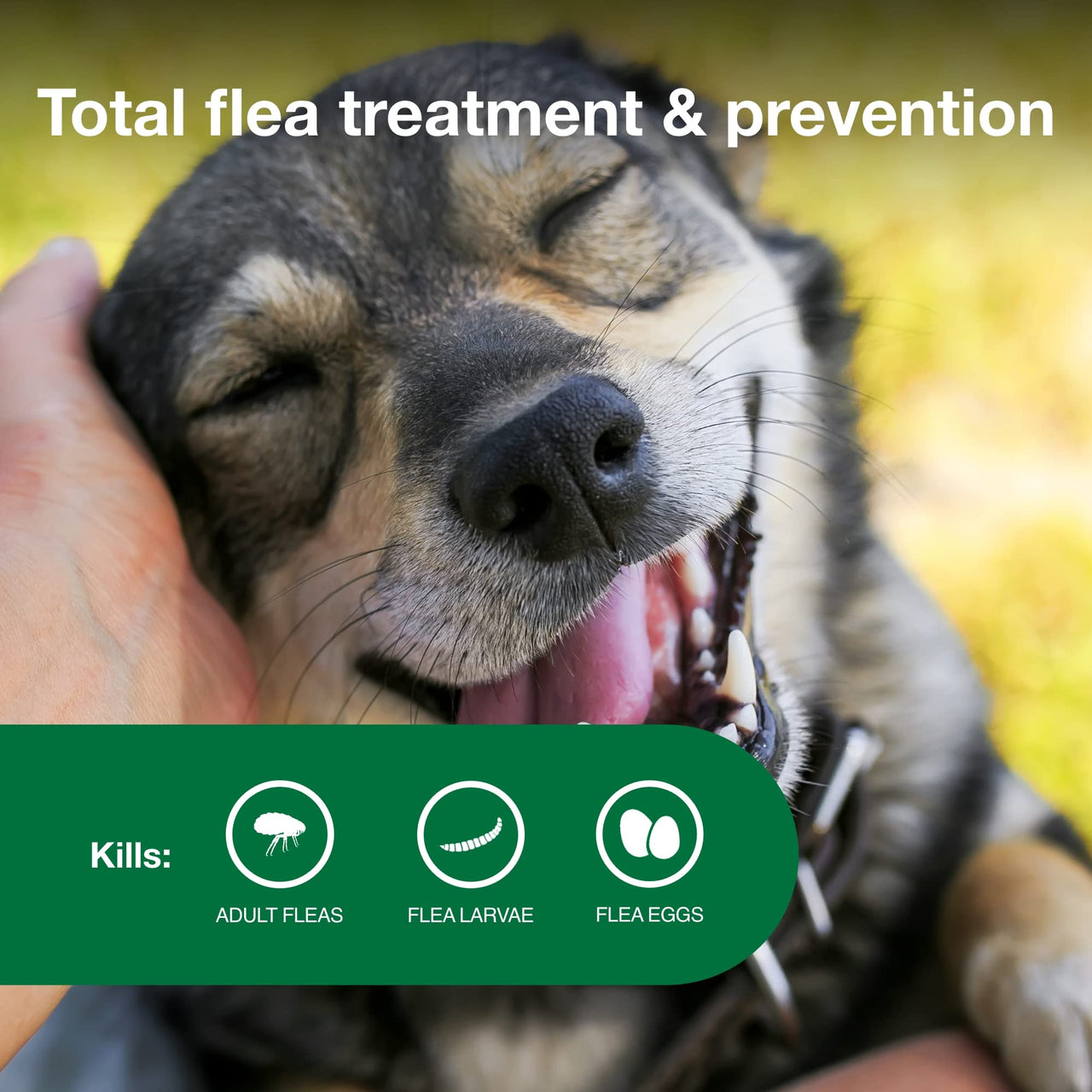 Advantage II Medium Dog Vet-Recommended Flea Treatment & Prevention | Dogs 11-20 lbs. | 4-Month Supply 4-Pack