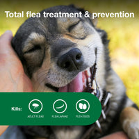 Advantage II Medium Dog Vet-Recommended Flea Treatment & Prevention | Dogs 11-20 lbs. | 4-Month Supply 4-Pack