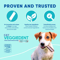 Virbac CET VEGGIEDENT FR3SH Tartar Control Chews for Dogs, Small, Beef, 1.1 pounds