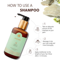 SoulTree Hibiscus Shampoo with Honey & Aloe Vera - Prevents Dryness & Hair Breakage, Cleanses & Hydrates at the same time, SLS/SLES Free - All Hair Types, 250 ml