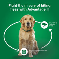 Advantage II Medium Dog Vet-Recommended Flea Treatment & Prevention | Dogs 11-20 lbs. | 4-Month Supply 4-Pack