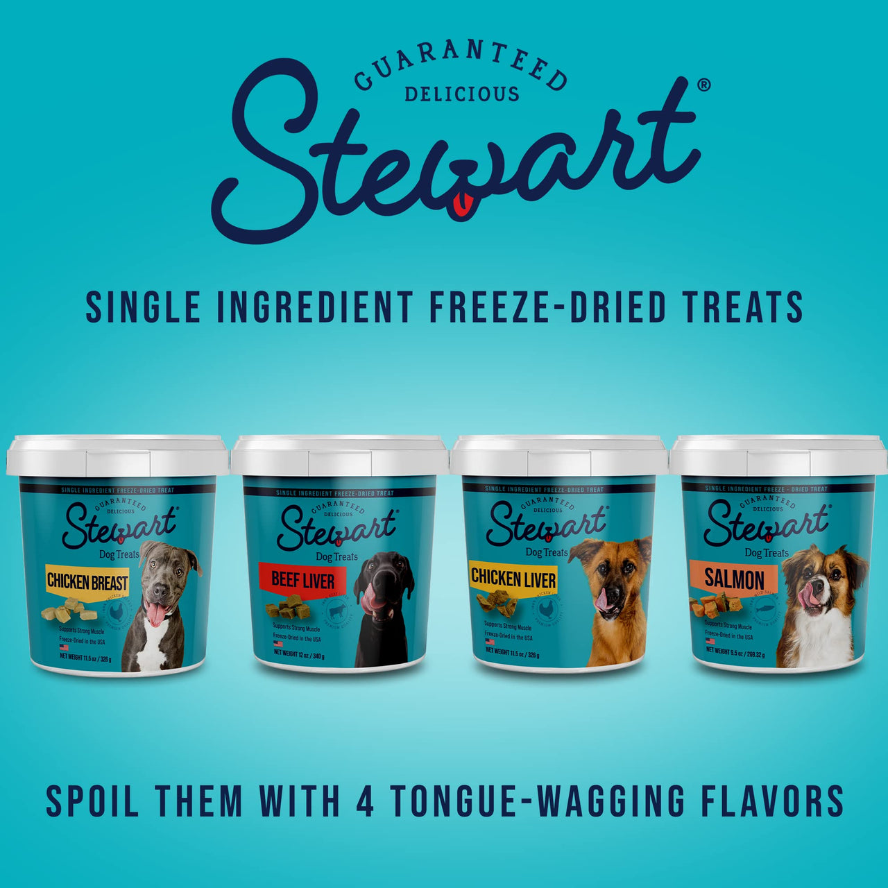 Stewart Freeze Dried Dog Treats, Chicken Liver, Grain Free & Gluten Free, 3 Ounce Resealable Tub, Single Ingredient, Made in USA, Dog Training Treats