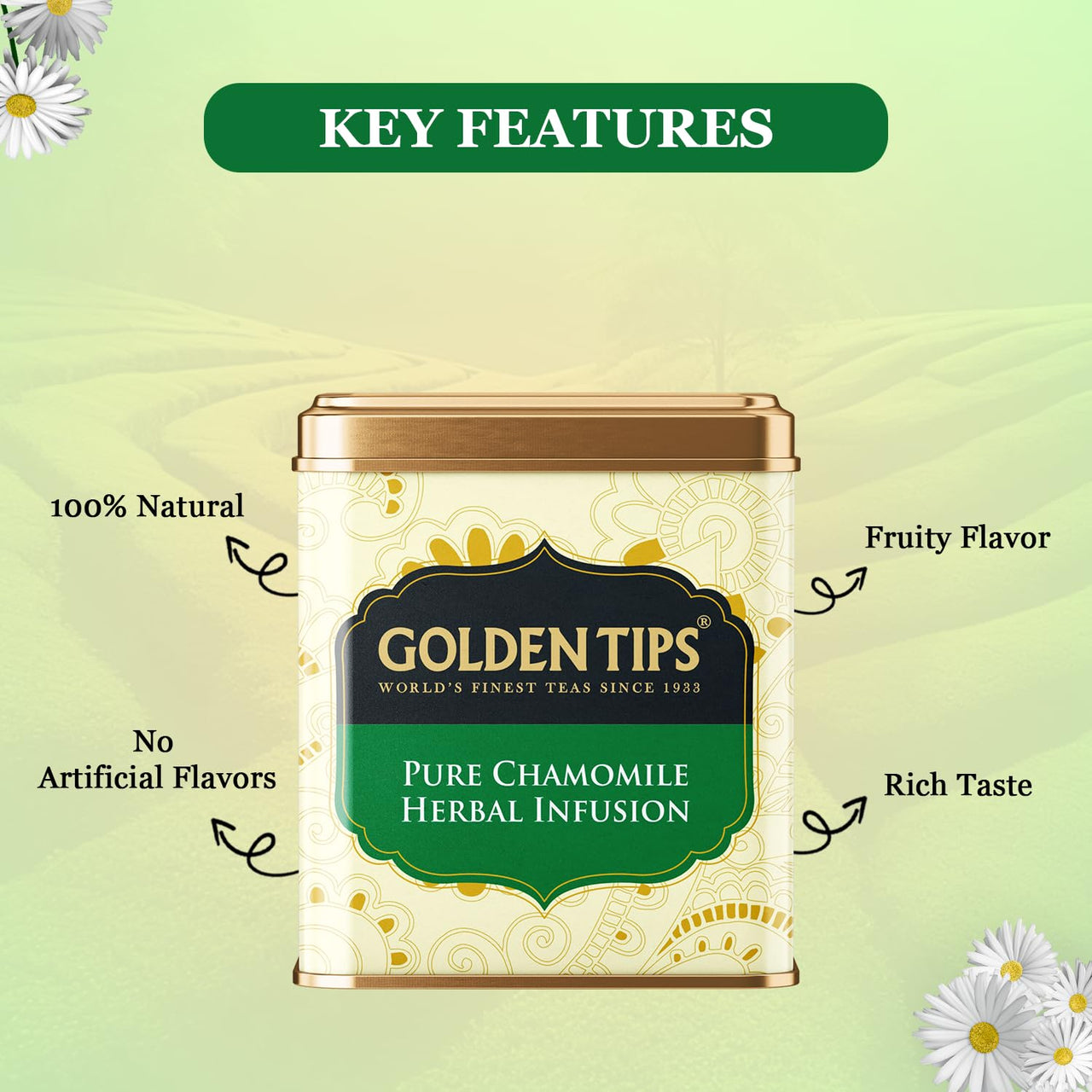 Golden Tips Chamomile Herbal Infusion Tea, Calming & Aromatic Loose Leaf Herbal Tea in Elegant Tin Can, Perfect for Relaxation & Well-Being (75 Gram - 37 Cups)