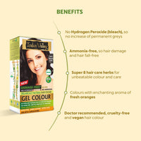 INDUS VALLEY Damage Free Natural Gel Hair Colour for Women | Ammonia & PPD Free Organic Hair Colour with 100% Grey Coverage, Long Lasting Conditioning Hair Color | Dark Brown 3.00 - Pack of 2 (2x220 = 400 ml)