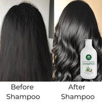 GREEN WORTH GREENWORTH Everyday Shine Anti-Frizz Shampoo For Dry Damaged Thin Hair | Sulphate Free And Paraben Free | With Aloevera & Coconut | For Unisex | Lavender & Vanilla Essential Oil | 300 Ml