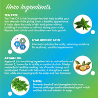 PureYou Hair Shampoo with Tea Tree Oil, Hyaluronic Acid & Argan Oil, Sulfate-Free, Anti-Dandruff & Nourishing for All Hair Types | Gentle Daily Hair Cleanser 250ml