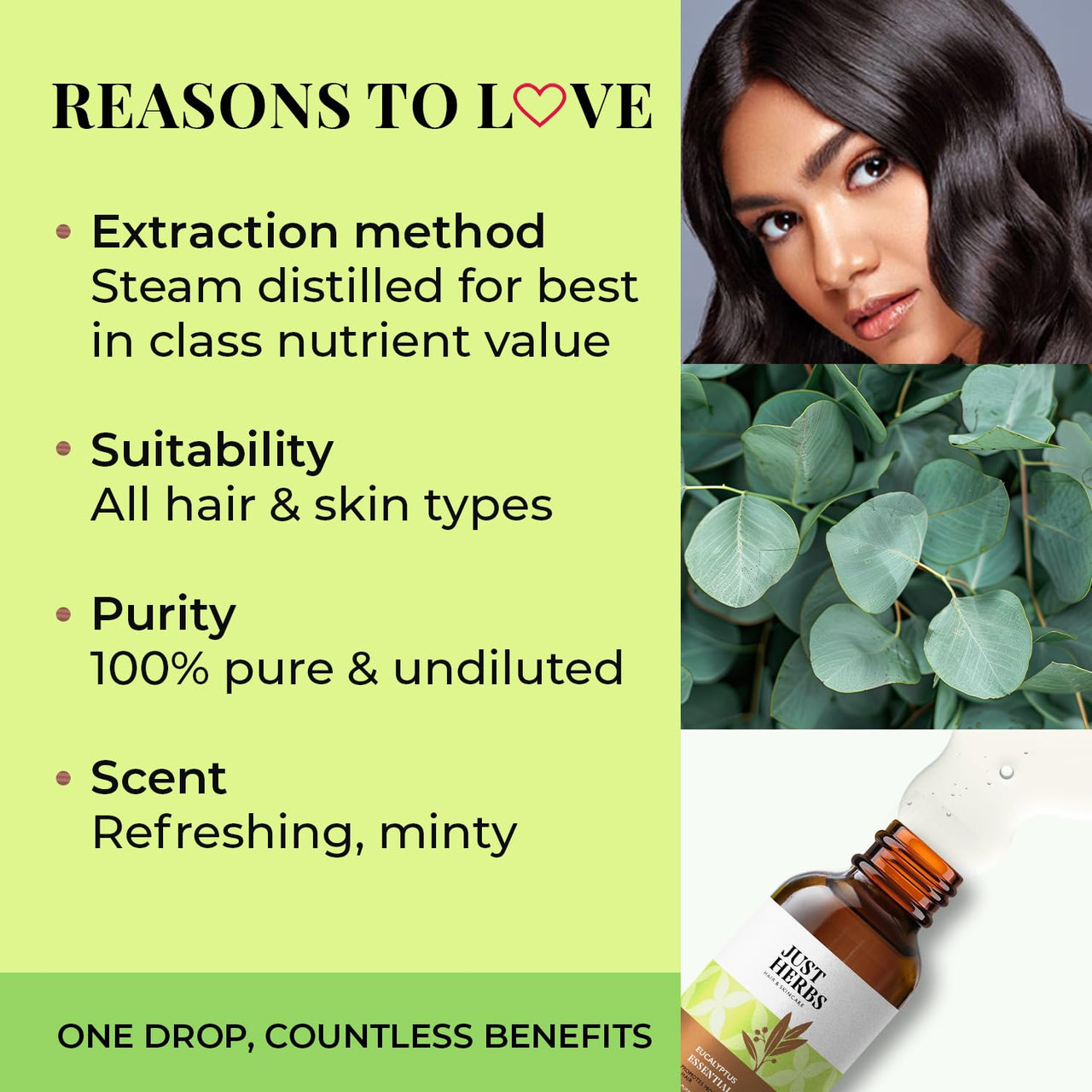 Just Herbs Eucalyptus Undiluted Steam Distilled 100% Natural Essential Oil for Hair Growth | Steam Inhalation | Aromatherapy and Skincare 10ml