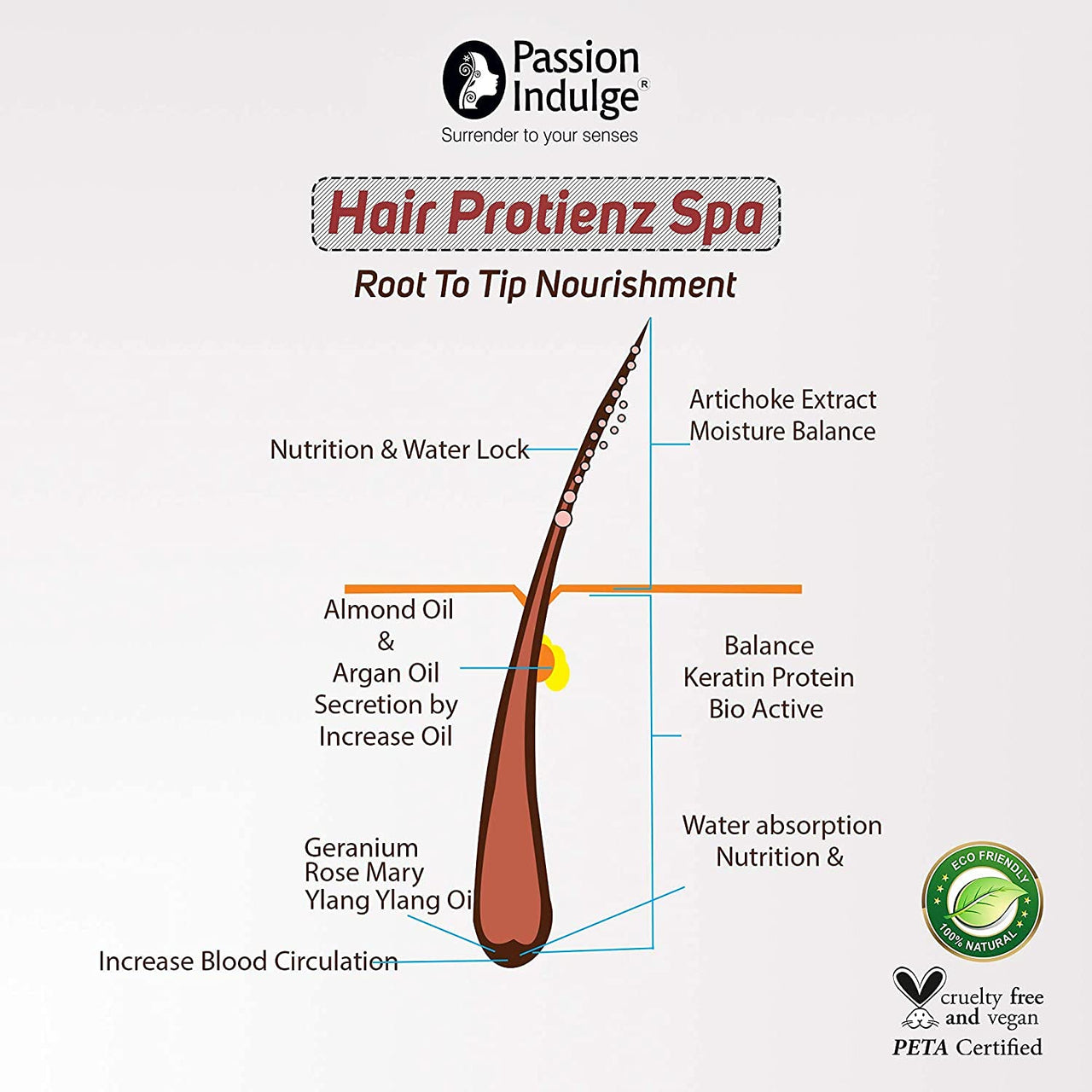 Passion indulge Hair Proteinz Hai Spa for Nourishing Hair
