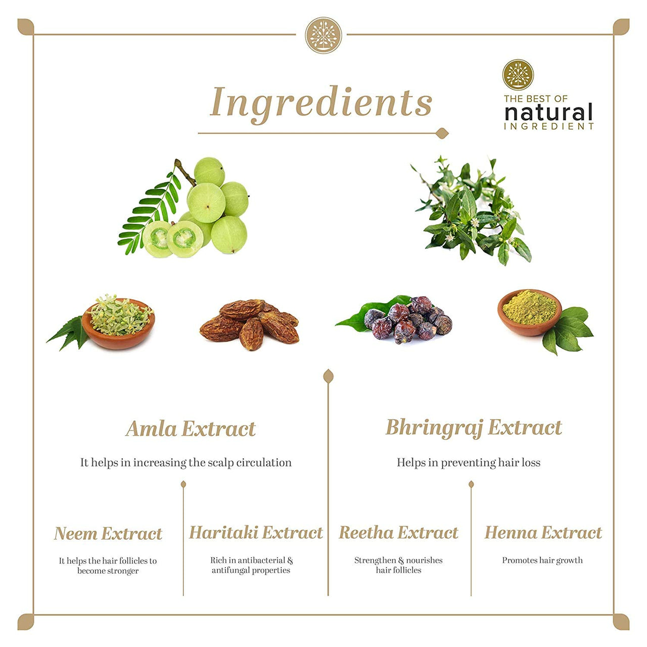 Khadi Natural (TM) Amla and Bhringraj Hair Cleanser(Shampoo), SLS and Paraben Free, 210ml