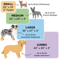 Furhaven Water-Resistant Orthopedic Dog Bed for Small Dogs w/ Removable Washable Cover, For Dogs Up to 20 lbs - Indoor/Outdoor Garden Print Mattress - Jungle Green, Small
